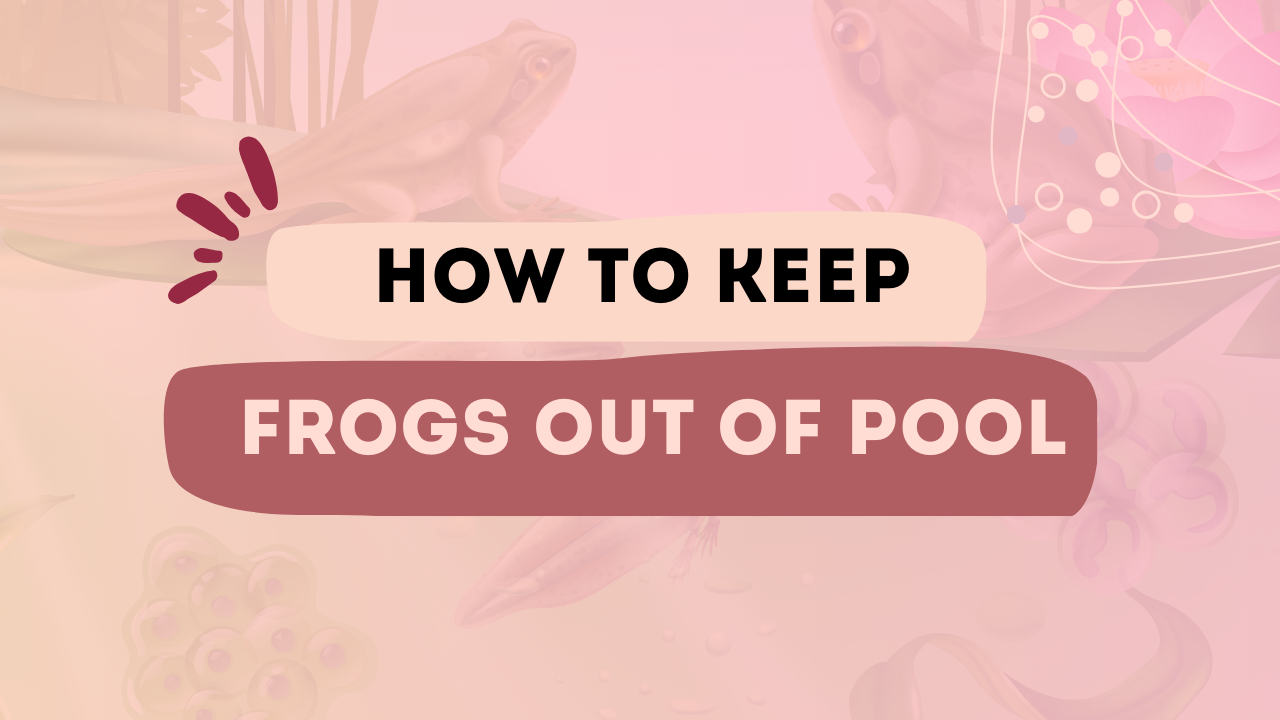 How To Keep Frogs Out of Pool