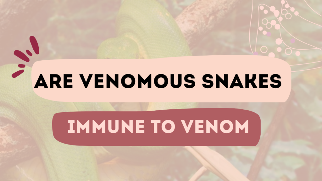 Are Venomous Snakes Immune To Venom
