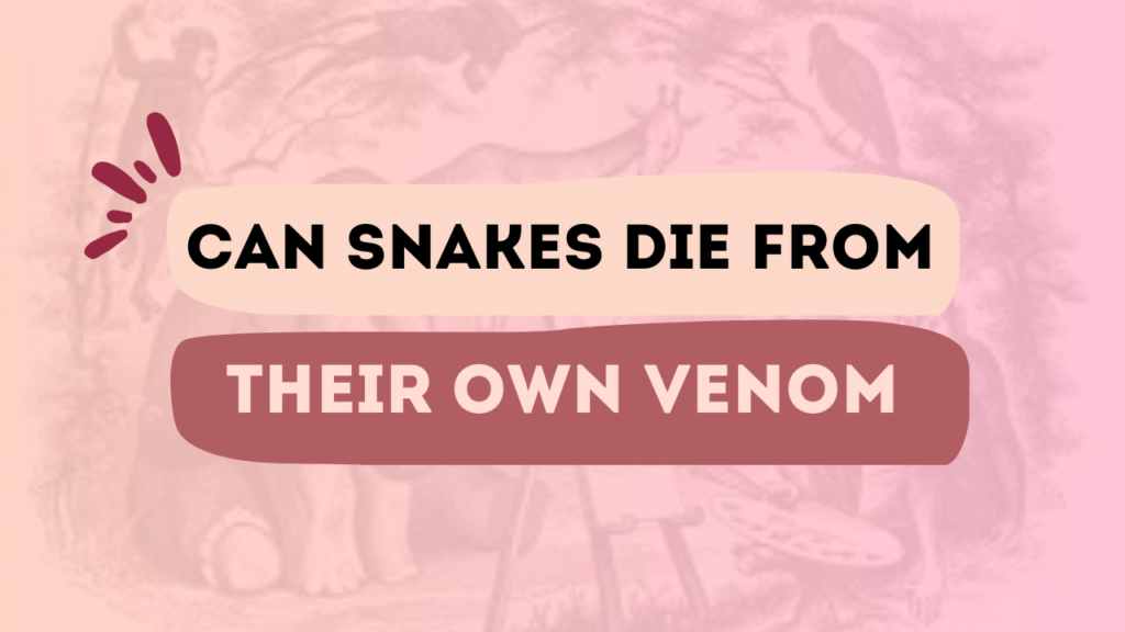 Can Snakes Die From Their Own Venom