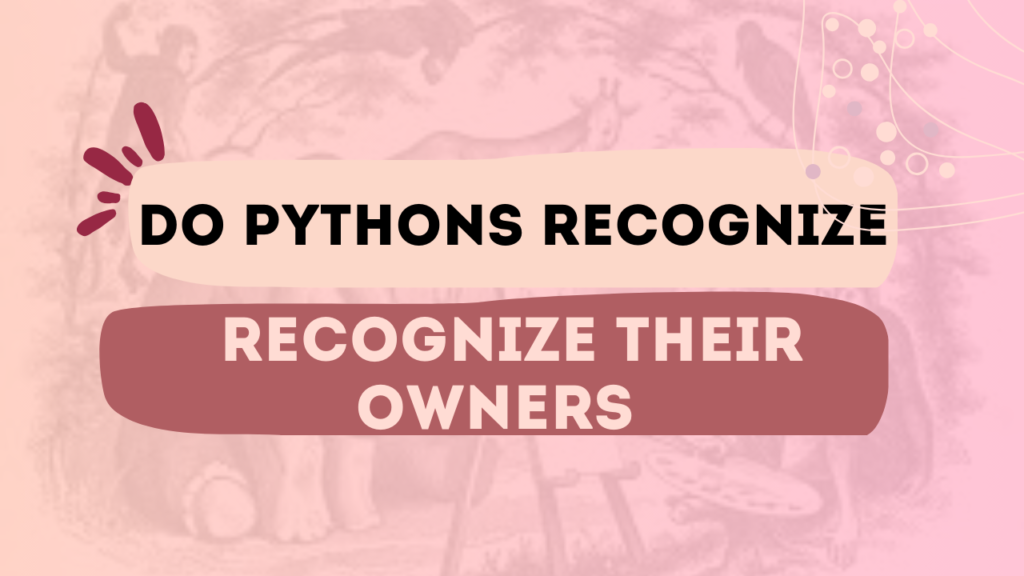 Do Pythons Recognize Their Owners