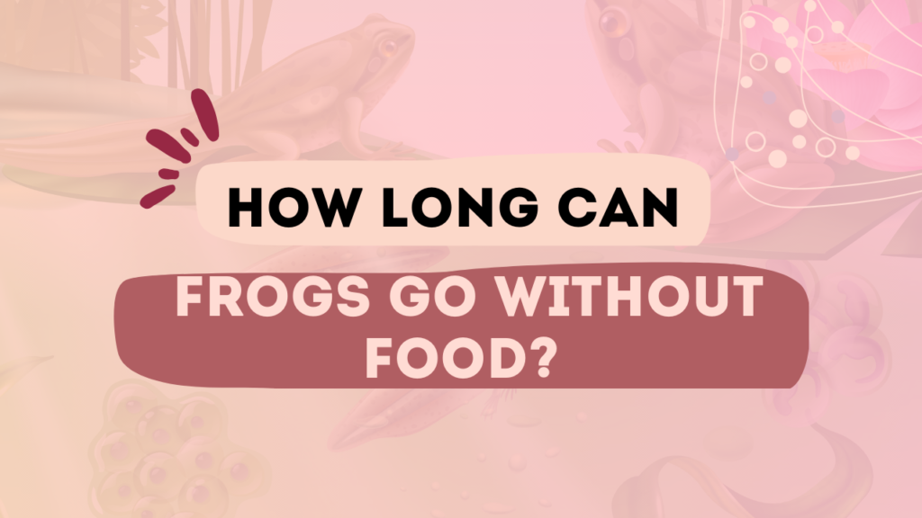 How Long Can Frogs Go Without Food
