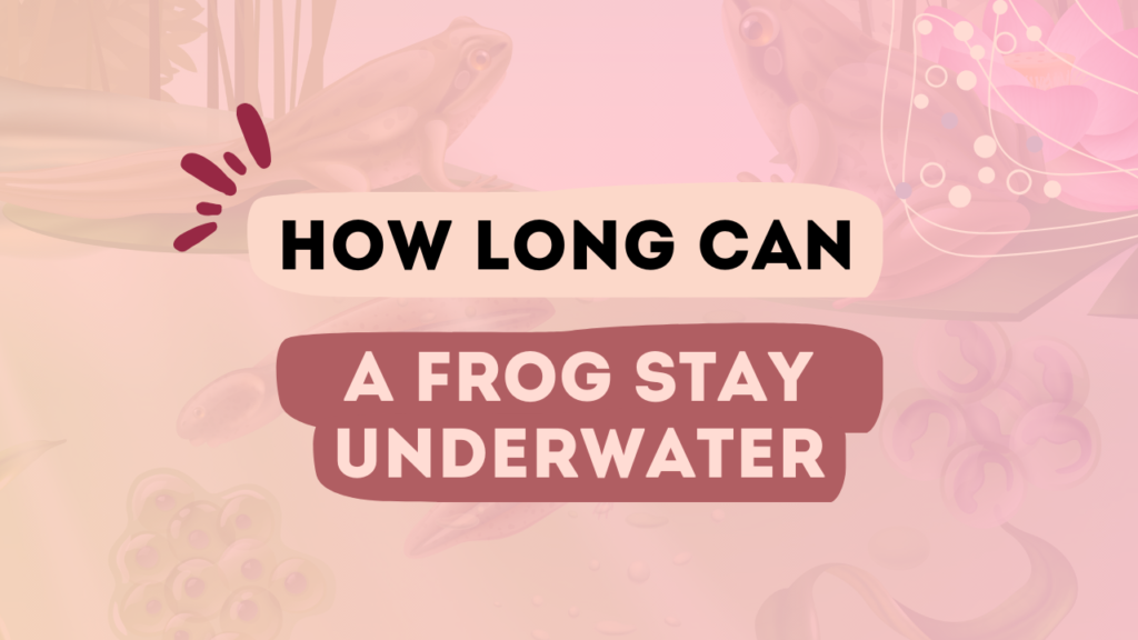How Long Can a Frog Stay Underwater