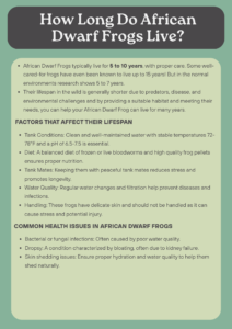 How Long Do African Dwarf Frogs Live? Lifespan and Care