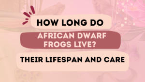 How Long Do African Dwarf Frogs Live? Lifespan and Care