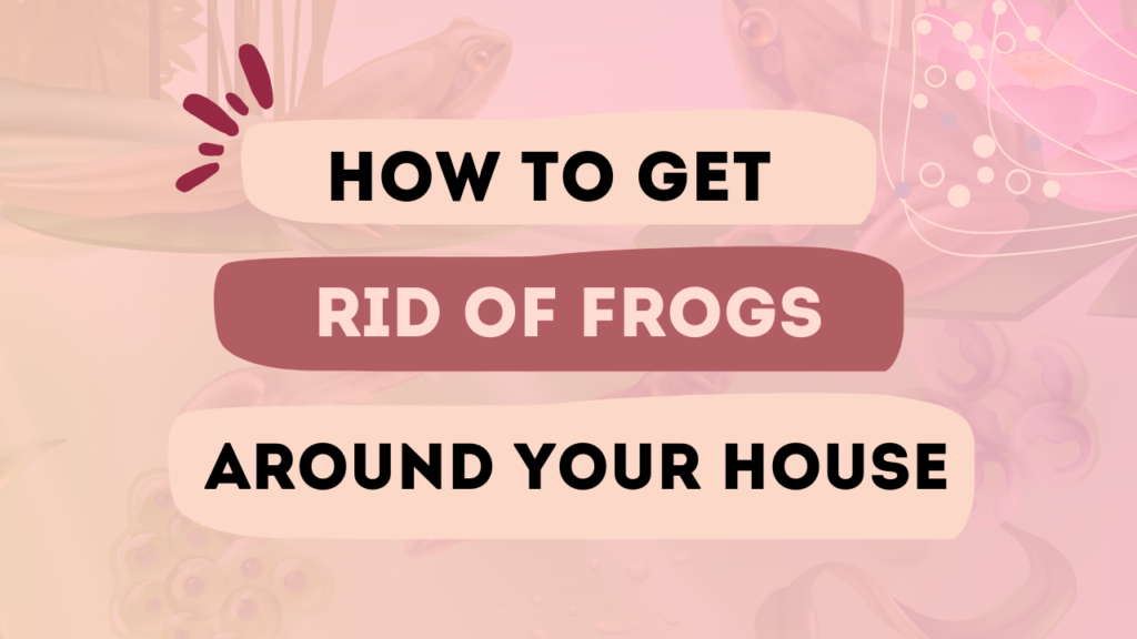 How to Get Rid of Frogs Around Your House