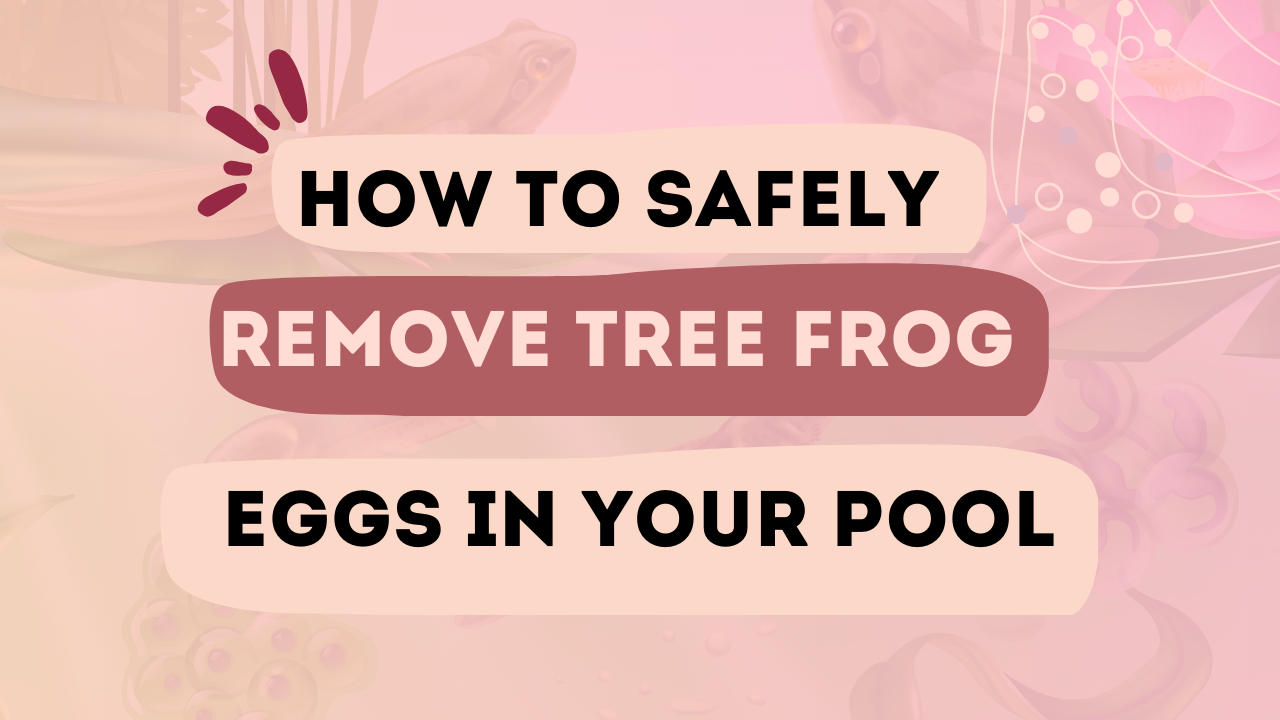 How to Safely Remove Tree Frog Eggs in Your Pool