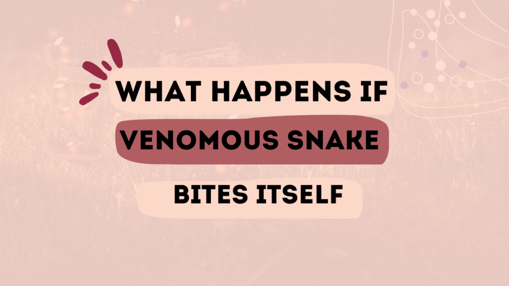 What Happens If A Venomous Snake Bites Itself