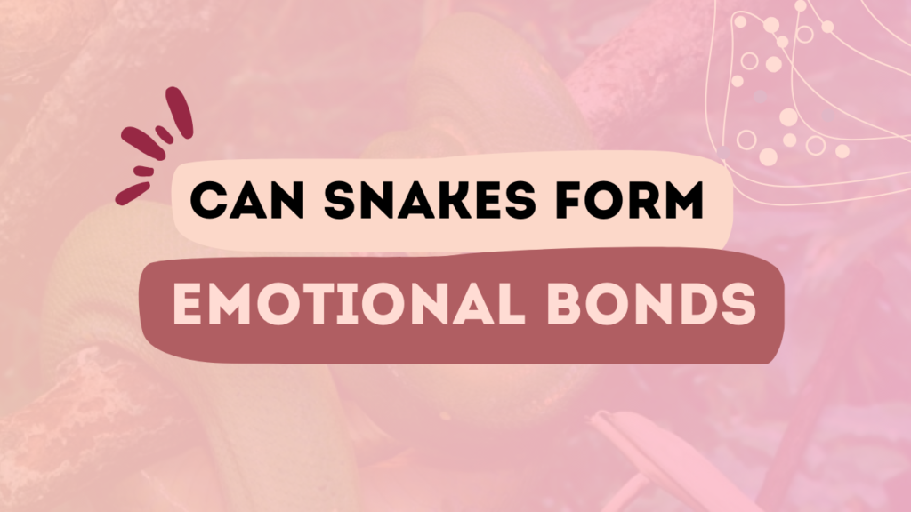 Can Snakes Form Emotional Bonds