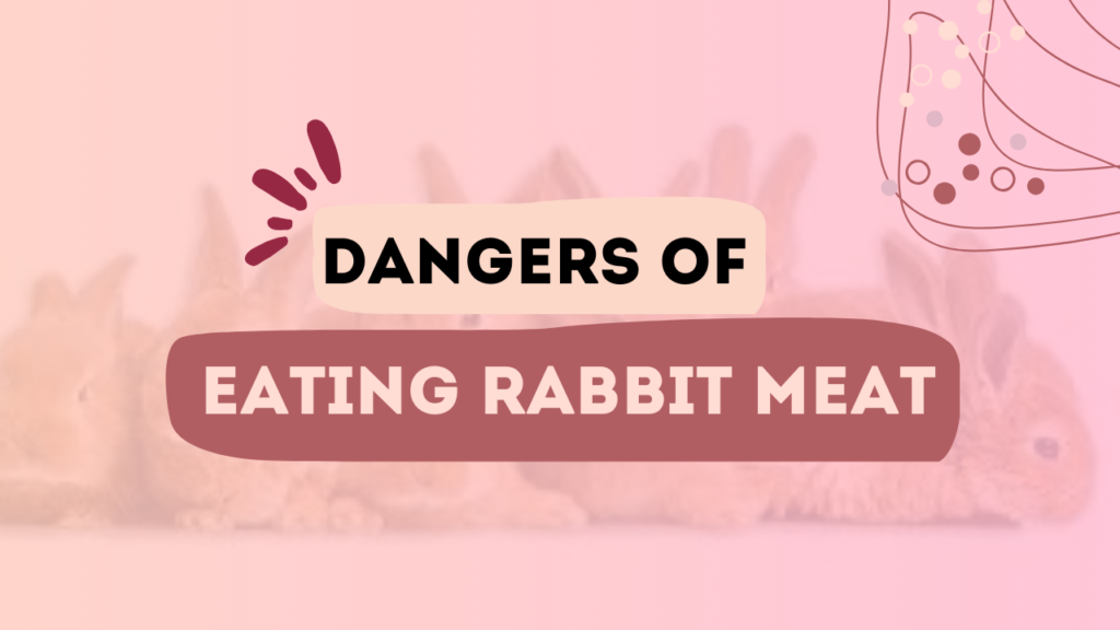 Dangers Of Eating Rabbit Meat