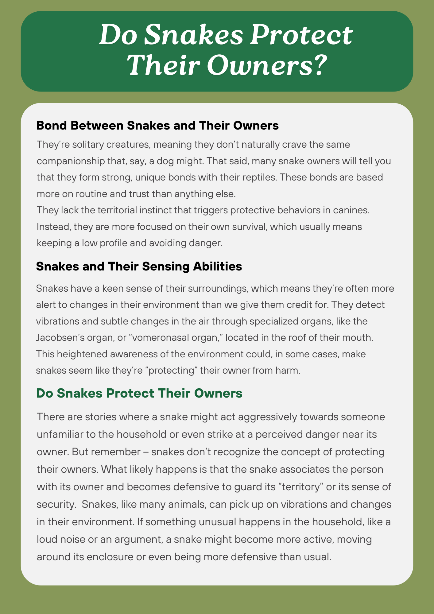 Do Snakes Protect Their Owners? Lets Find Out (2025)