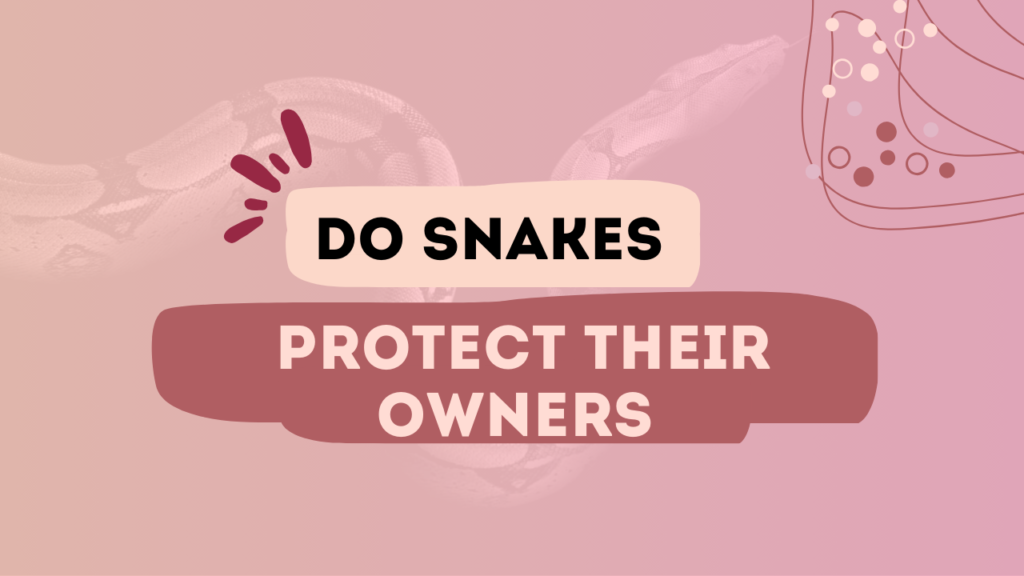 Do Snakes Protect Their Owners
