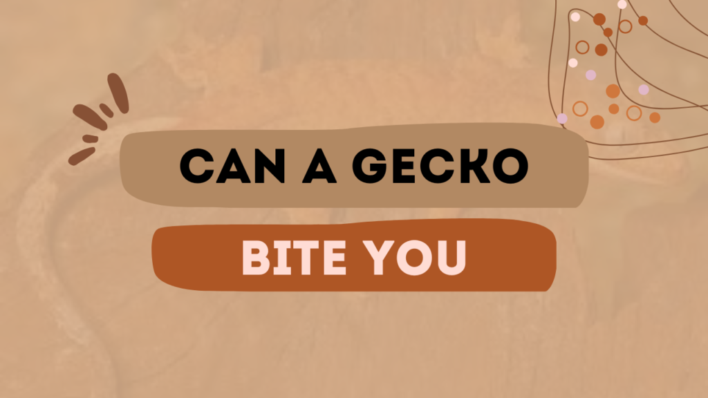 Can A Gecko Bite You