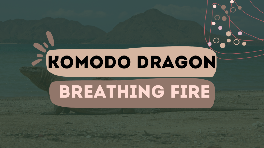 Komodo Dragon Breathing Fire