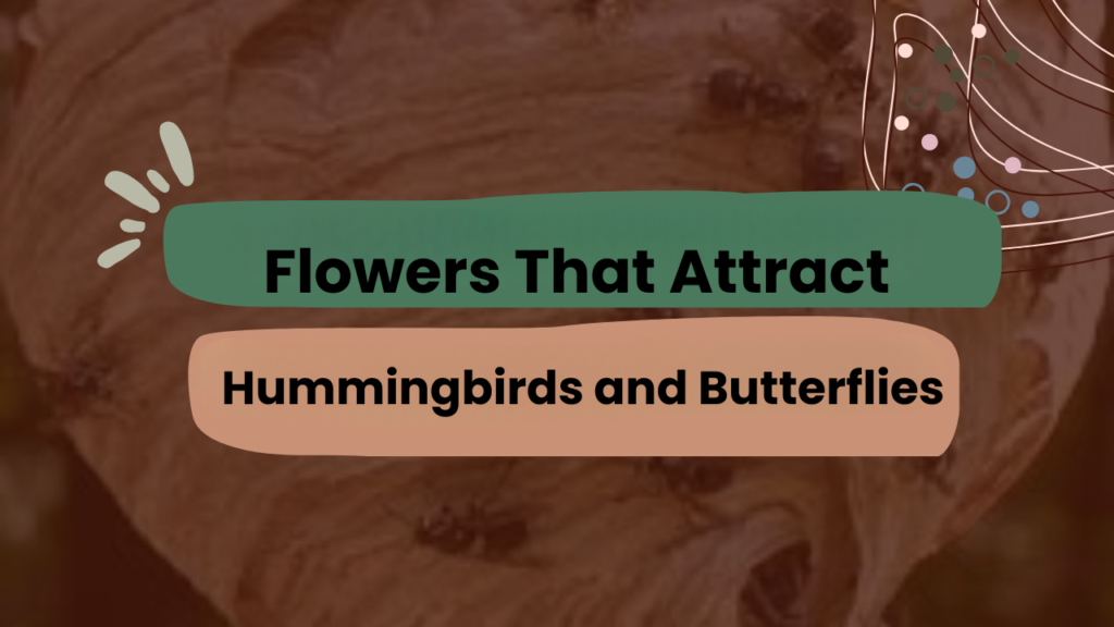 Flowers That Attract Hummingbirds and Butterflies